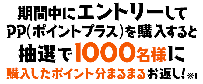 PP祭りSPECIALの解説